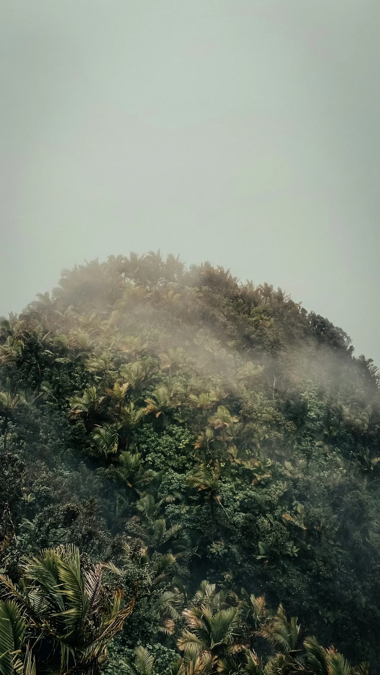 Paisaje de Puerto Rico